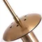 Подвесной светильник Volare A1925SP-1AB Arte Lamp
