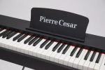 Pierre Cesar DP-121-H