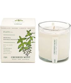 Crushed Mint, свеча The Seeds, Kobo Candles