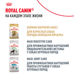 Royal Canin Labrador Retriever Puppy Лабрадор Ретривер Паппи Корм сухой для щенков породы Лабрадор Ретривер до 15 месяцев 3кг