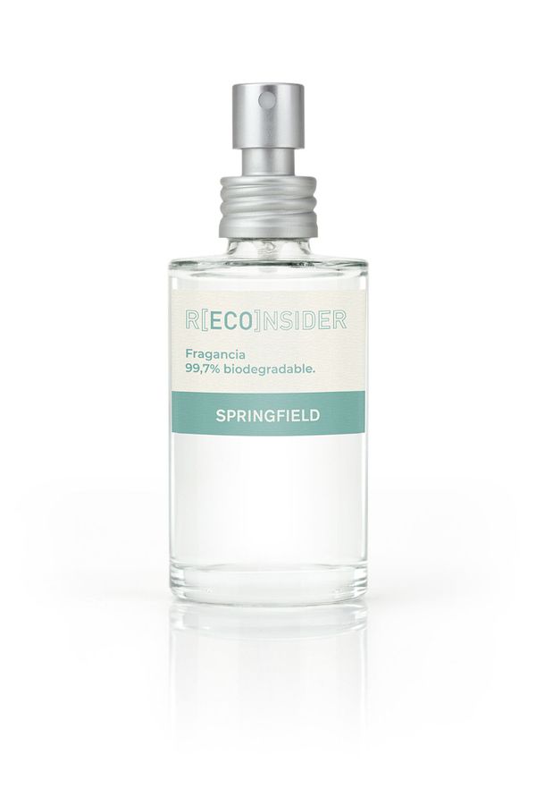 Springfield R(ECO)nsider