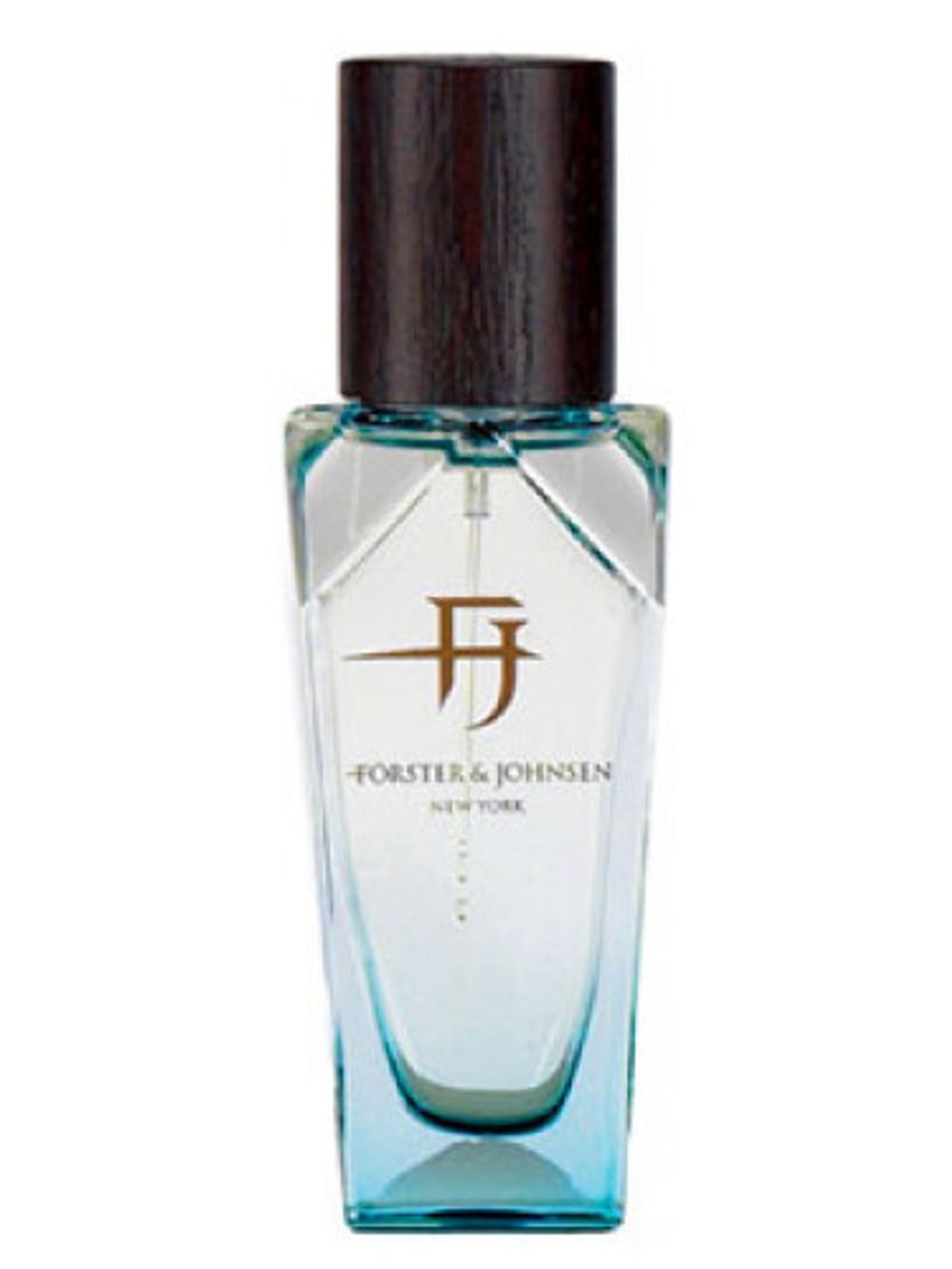 Forster and Johnsen Energy EDT
