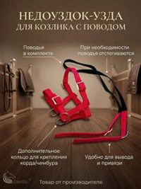 Недоуздок узда для козлика с поводом красный