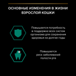 Паучи PRO PLAN MAINTENANCE для взрослых кошек утка в соусе 85г x 26 шт