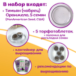 Лаванда белая морозостойкая, семена + торфяные таблетки Jiffy в подарок, 5 шт