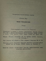 Книга "Моя Теодосия"