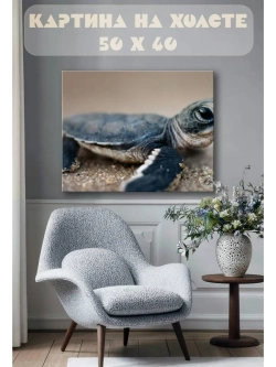 Картина на стену 40 X 50 Черепаха