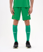 Шорты игровые DIVISION PerFormDRY Union Shorts, зеленый