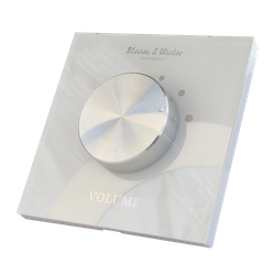 Настенный регулятор громкости звука настенный Steam&water SOUND CONTROL White 50 (Цвет черный, 5 уровней громкости, 4-8 Ом, 30W)