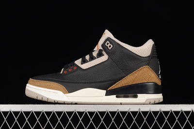 Jordan 3 Retro Desert Elephant