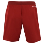 Шорты TF TEAM SHORT CARDINAL