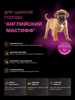 Корм сухой для щенков породы Английский мастиф, с говядиной, 12 кг, QUATTRO