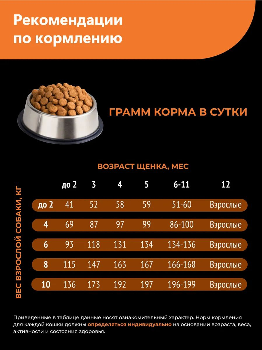 Корм сухой для щенков породы Миниатюрный шнауцер, с индейкой, 3 кг, QUATTRO