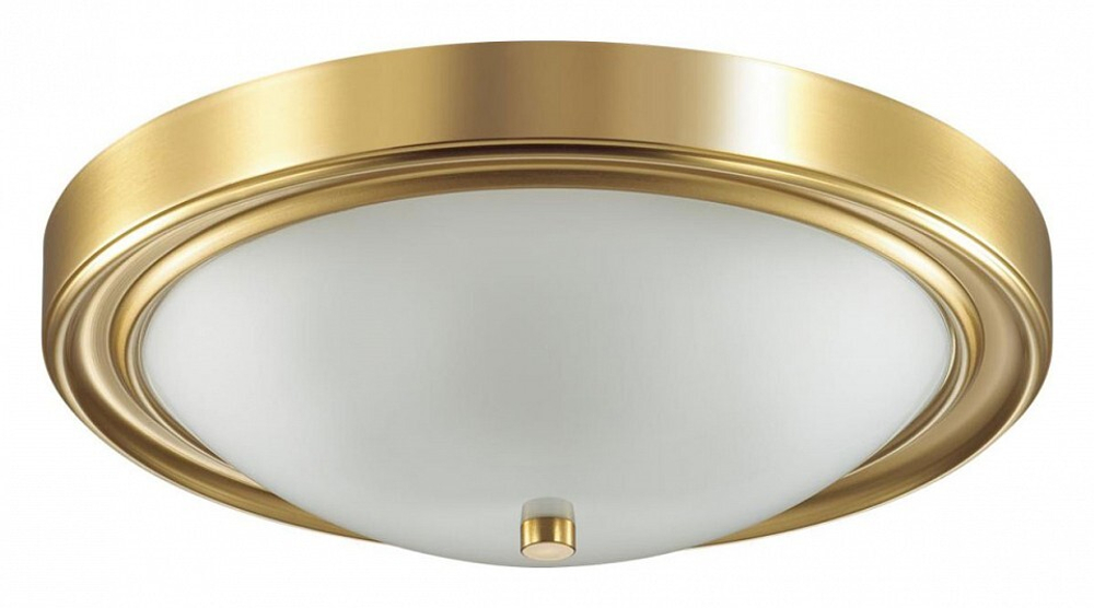 Накладной светильник Lumion Nina 5259/3C