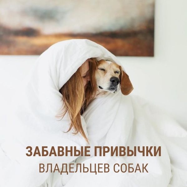 Забавные привычки владельцев собак