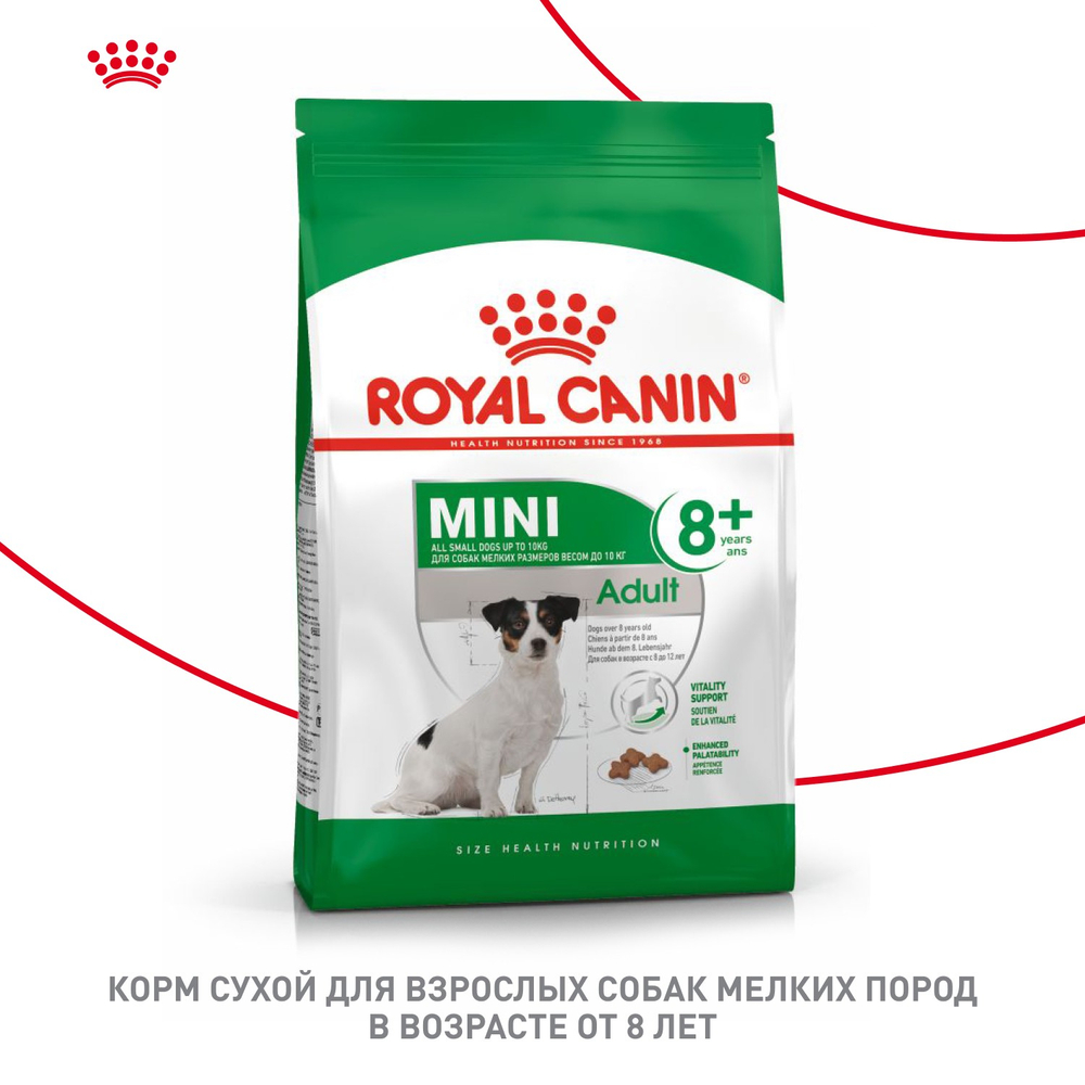 Royal Canin Mini Adult 8+ Мини Эдалт Корм сухой для взрослых собак мелких пород старше 8 лет 4кг