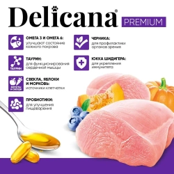 DELICANA сухой полнорационный корм для взрос кошек с чувствительным пищеварением, индейка, 8кг