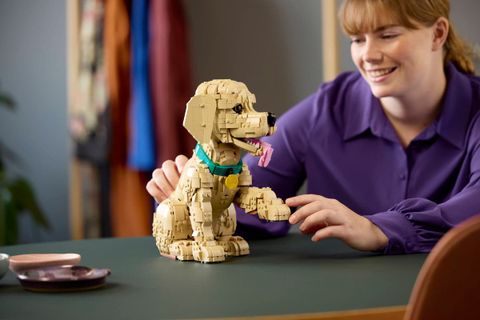 Конструктор LEGO Icons 11384 Golden Retriever Puppy