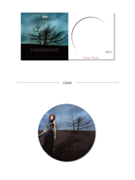 Альбом PARK JUNG HYUN - Op.4 VOL.4 LP