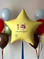 Воздушные шары на День Знаний №9236