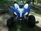 Квадроцикл PANTERA 125
