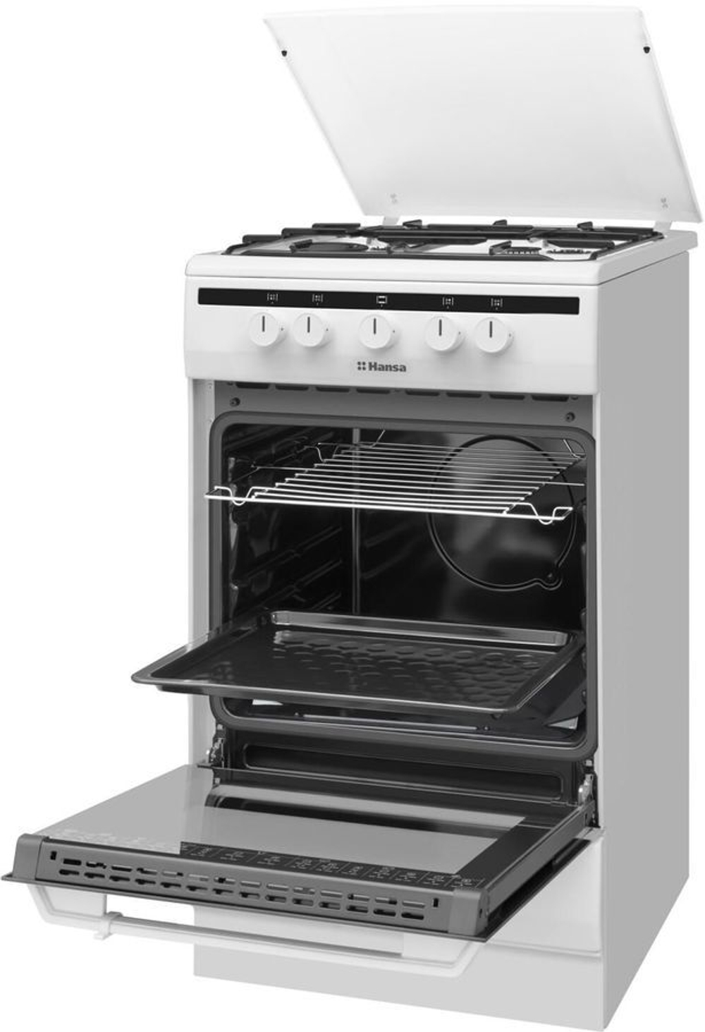 Газовая плита Hansa FCGW51003 белый