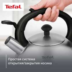 Чайник для плиты Tefal Nova 2,5 л матовый N4210117