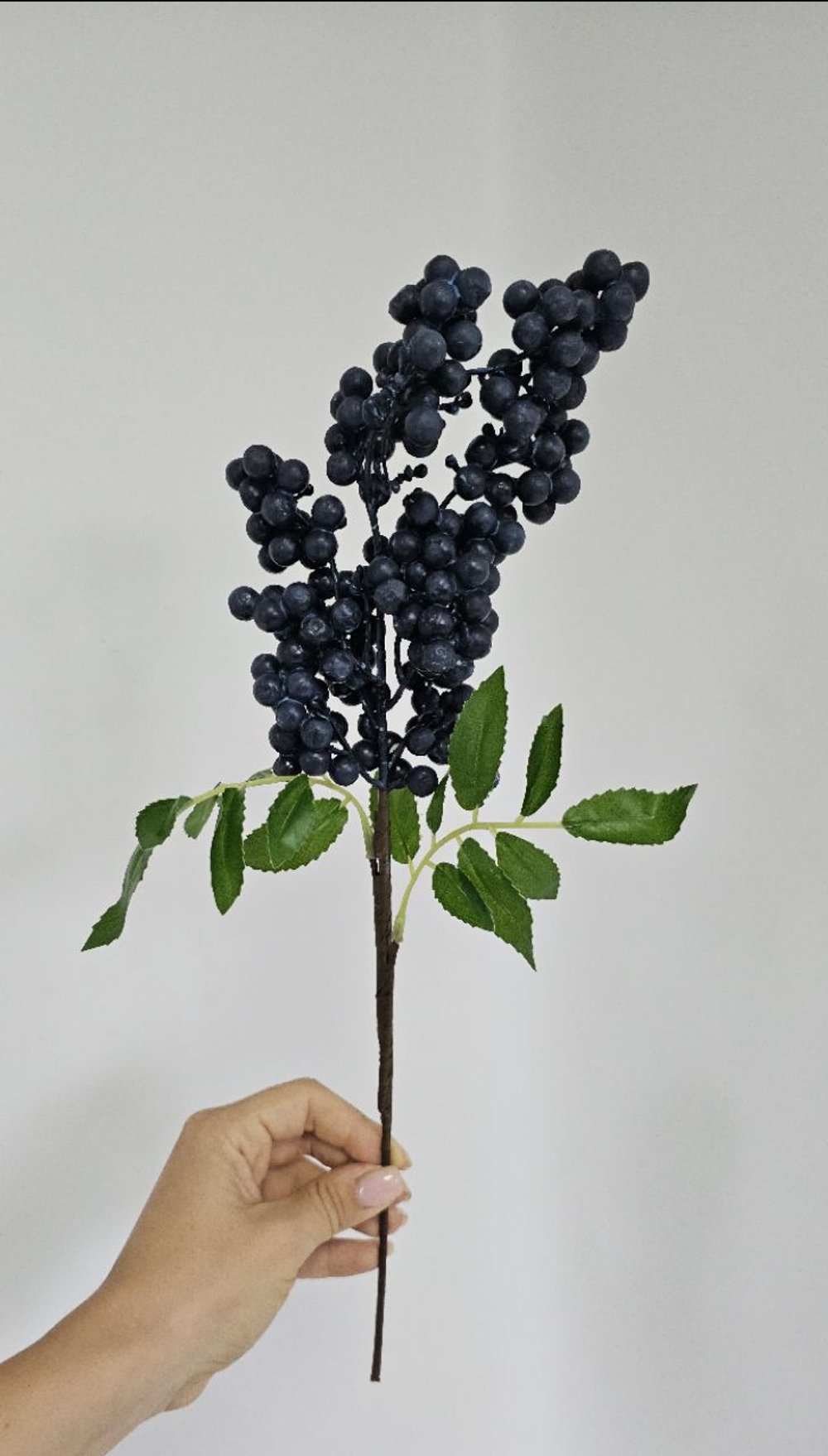 Ягоды / Арт 8044