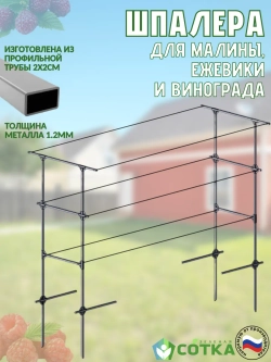 Шпалера для малины, ежевики и винограда