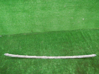 DSCN6754.JPG