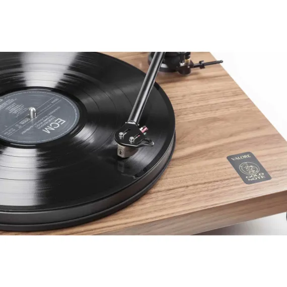 Gold Note Valore Plus 425 Plus Walnut
