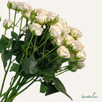 Фон карточки (2).png