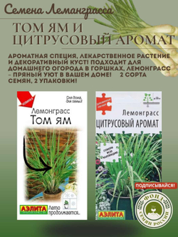 Набор семян для посадки, Петрушка, 5-ти сортов, 10гр. семян.