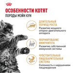 Royal Canin Maine Coon Kitten Мейн Кун Киттен Корм влажный для котят породы Мэйн Кун в возрасте до 15 месяцев соус 85г