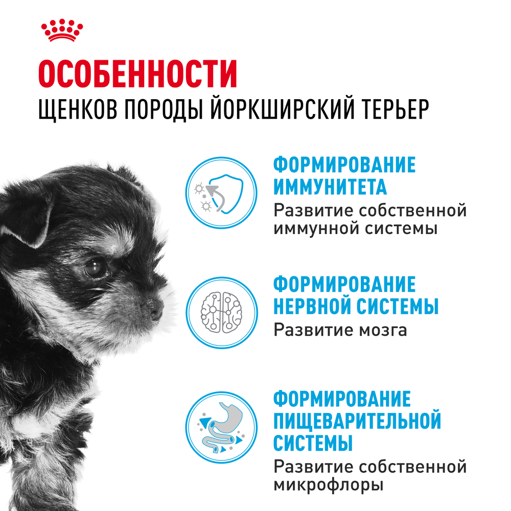 Royal Canin Yorkshire Terrier Puppy Йоркширский Терьер Паппи Корм сухой для щенков породы Йоркширский Терьер до 10 месяцев 500г