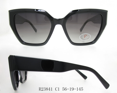 R23841