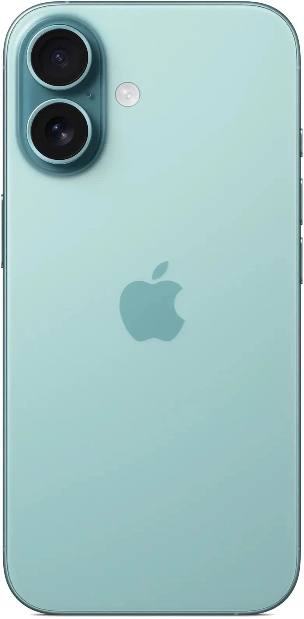 16 Plus 256 Teal