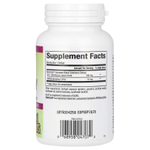 Natural Factors, черная бузина, 100 мг, 120 быстродействующих капсул