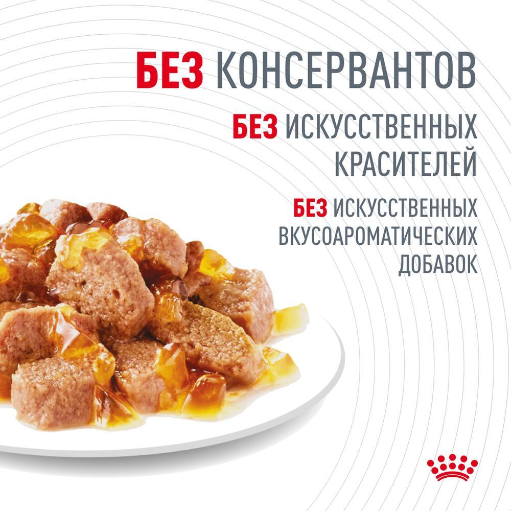 Тонкие ломтики в желе, 85г Hair & Skin для здоровья кожи и блеска шерсти Royal Canin