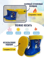 сапоги резиновые