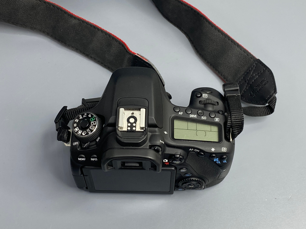 Canon EOS 80D — 9 100 кадров