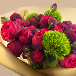 Розы Red piano с Барбатус Киви Меллоу. Burgundy Gold Premium