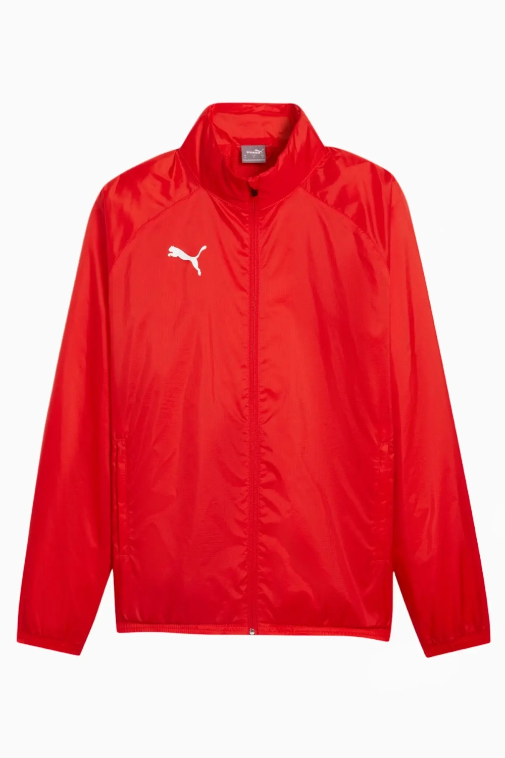 Ветровка Puma teamGOAL All Weather - черный