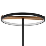 Торшер светодиодный Lightstar Lodi 723727
