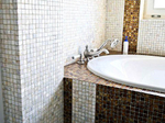 LUXURY: SHELL