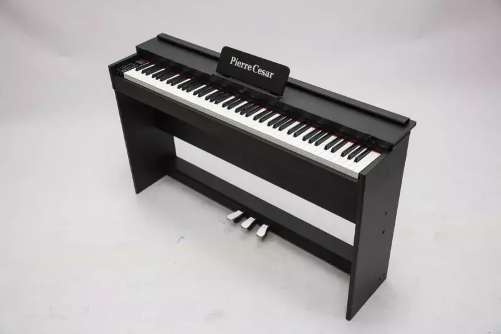 Pierre Cesar DP-12-H