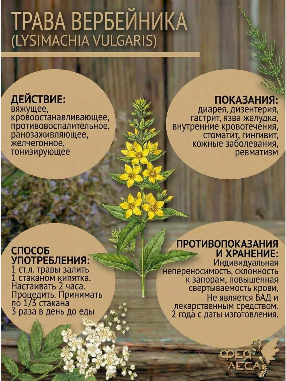 Вербейник для творчества и мыловаров