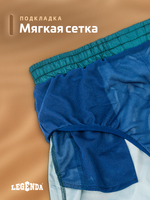 Шорты плавки Gradient LEGENDA укороченные синий