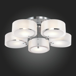 Cветильник потолочный Evoluce Foresta SL483.502.05