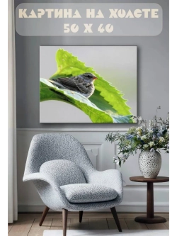 Картина на стену 40 X 50 Птица